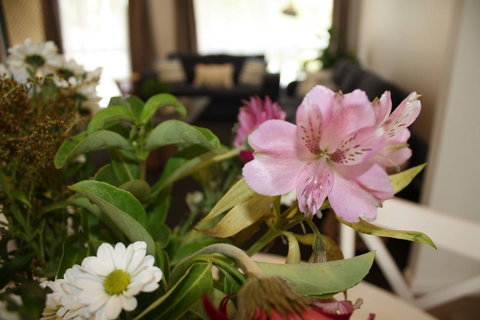 Ocean Breeze At Caba - Accommodation Mount Tamborine 11