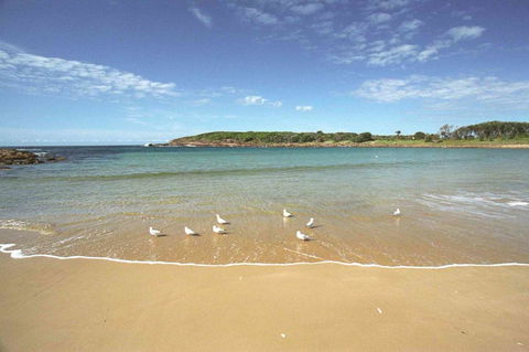 On The Beach Getaway - Accommodation Mount Tamborine 12