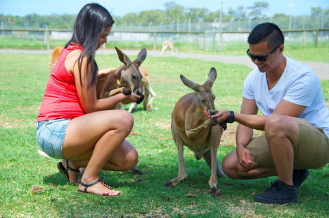 On The Beach Getaway - Accommodation Mount Tamborine 25