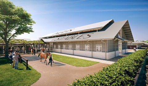 The William Inglis Mgallery - Accommodation Mount Tamborine 39