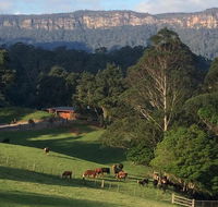 Amaroo Valley Springs - Accommodation Mount Tamborine