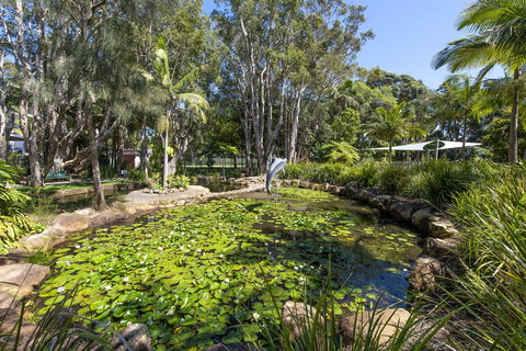Flynns Beach Resort - Accommodation Mount Tamborine 8