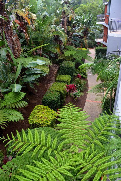 Flynns Beach Resort - Accommodation Mount Tamborine 17