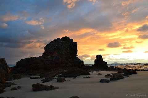 Flynns Beach Resort - Accommodation Mount Tamborine 19