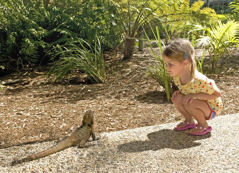 Flynns Beach Resort - Accommodation Mount Tamborine 16