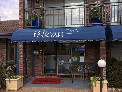 Pelican Motor Inn - Accommodation Mount Tamborine 7