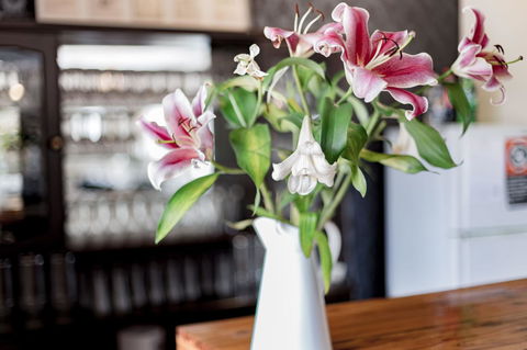 Bundanoon Country Inn Motel - Accommodation Mount Tamborine 12