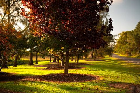 Bundanoon Country Inn Motel - Accommodation Mount Tamborine 20