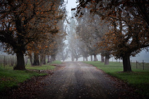 Bundanoon Country Inn Motel - Accommodation Mount Tamborine 17