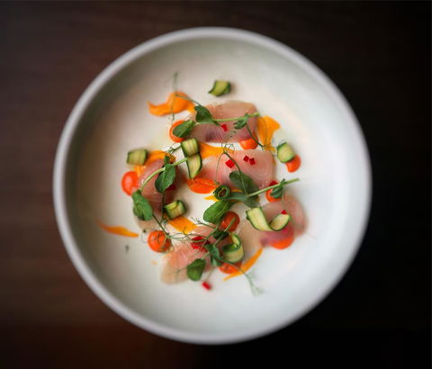 Swissotel Sydney - Accommodation Mount Tamborine 17