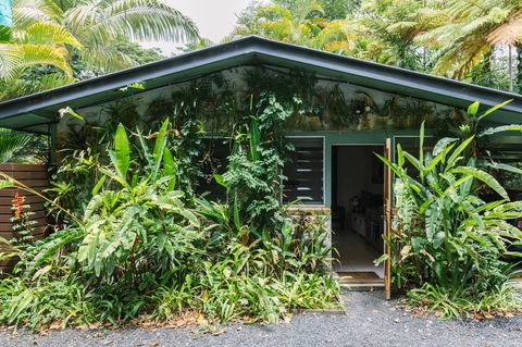 Sanctuary In The Pocket - Accommodation Mount Tamborine 15