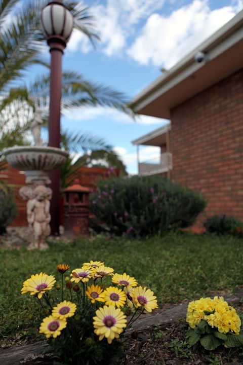 Summerhill Motor Inn - Accommodation Mount Tamborine 28