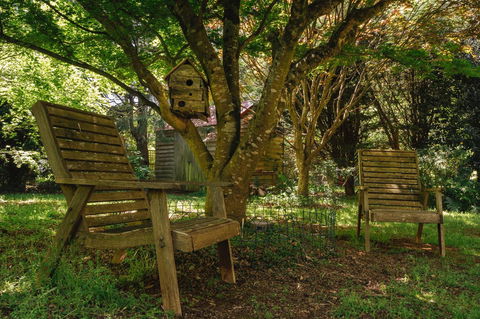 Lark Cottage - Accommodation Mount Tamborine 28