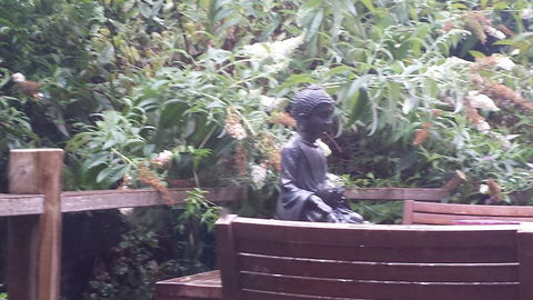 Lark Cottage - Accommodation Mount Tamborine 19