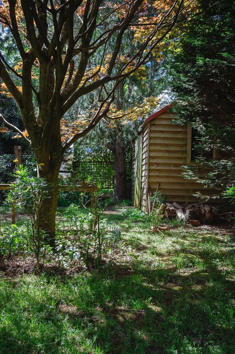 Lark Cottage - Accommodation Mount Tamborine 31