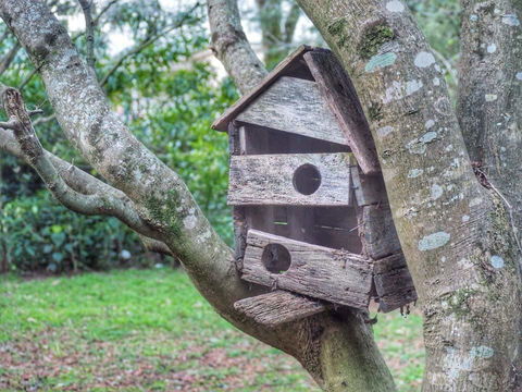 Lark Cottage - Accommodation Mount Tamborine 3