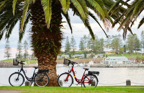 Belle Vue- Penthouse At Black Beach - Accommodation Mount Tamborine 8