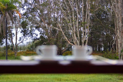 Estoy Cabarita - Accommodation Mount Tamborine 6