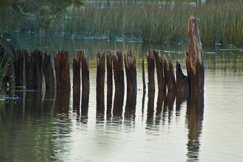 Estoy Cabarita - Accommodation Mount Tamborine 7