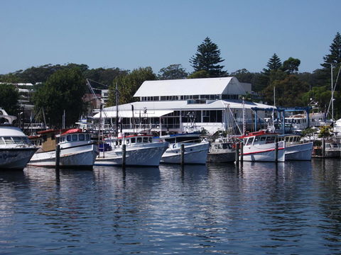 Tomaree Lodge - Accommodation Mount Tamborine 13