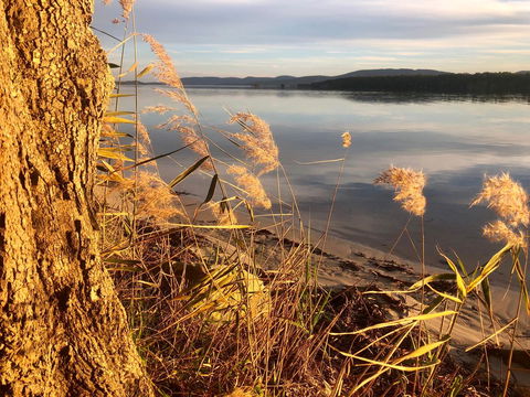 Lakeview Cottage - Accommodation Mount Tamborine 14