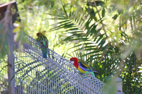 Marty's @ Little Beach - Accommodation Mount Tamborine 27