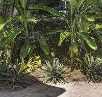 Nineteen on Nudl - Accommodation Mount Tamborine