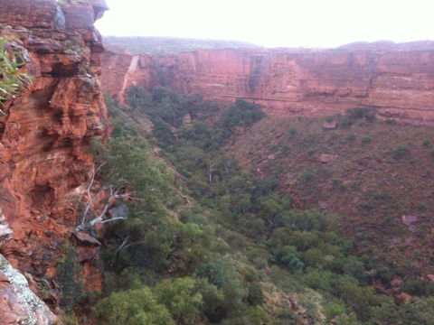 Discovery Resorts - Kings Canyon - Accommodation Mount Tamborine 34