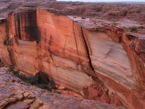 Discovery Resorts - Kings Canyon - Accommodation Mount Tamborine 36