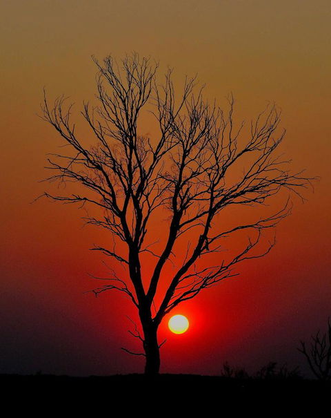 Discovery Resorts - Kings Canyon - Accommodation Mount Tamborine 43