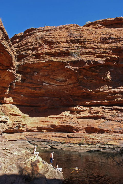 Discovery Resorts - Kings Canyon - Accommodation Mount Tamborine 44