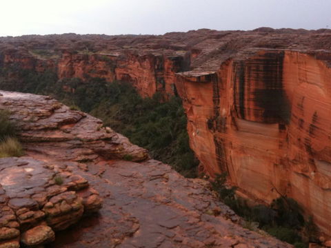 Discovery Resorts - Kings Canyon - Accommodation Mount Tamborine 35