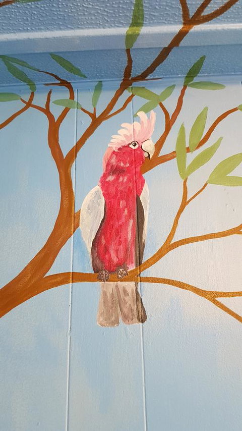 Alice\'s Secret Travellers Inn - Accommodation Mount Tamborine 39