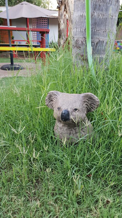 Alice\'s Secret Travellers Inn - Accommodation Mount Tamborine 25