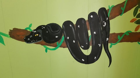 Alice\'s Secret Travellers Inn - Accommodation Mount Tamborine 37