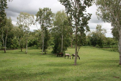 Mount Bundy Station - Accommodation Mount Tamborine 25