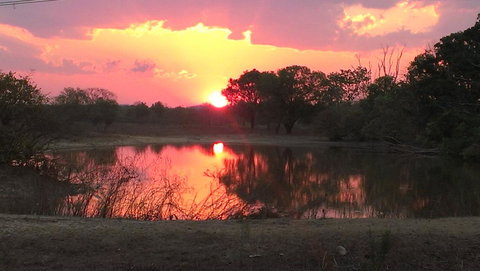 Mount Bundy Station - Accommodation Mount Tamborine 20