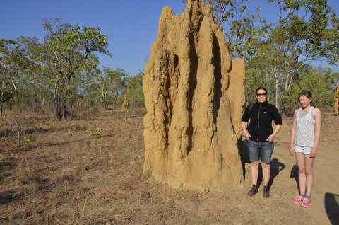 Mount Bundy Station - Accommodation Mount Tamborine 44