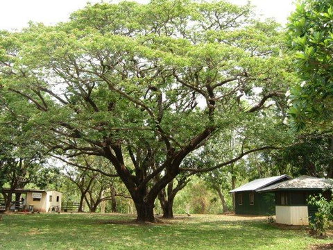 Mount Bundy Station - Accommodation Mount Tamborine 26