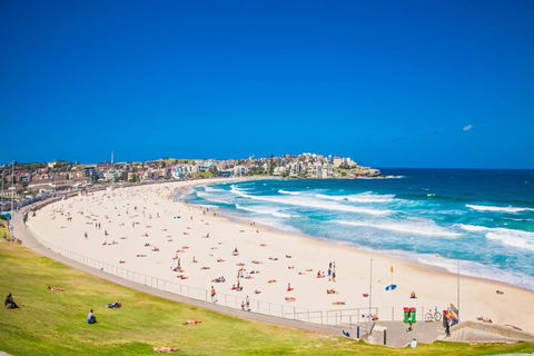 Bondi Beach Studio King Suite 1 - Accommodation Mount Tamborine 1