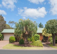 Bottlebrush - Accommodation Mount Tamborine