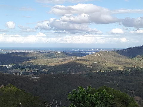 Bottletree Gardens - Mini Manson Blue - Accommodation Mount Tamborine 2