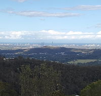 Bottletree Gardens - Mini Manson Blue - Accommodation Mount Tamborine