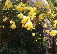 Bowral Road Bed and Breakfast - Accommodation Mount Tamborine