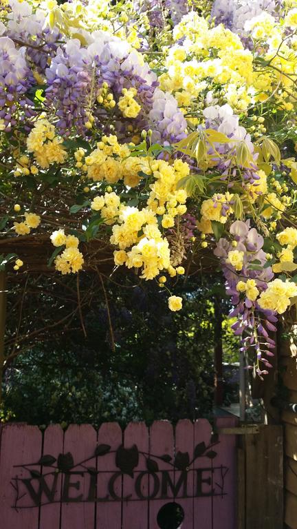 Bowral Road Bed And Breakfast - Accommodation Mount Tamborine 0
