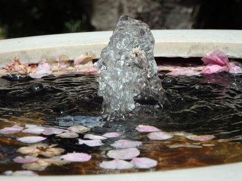 Bowral Road Bed And Breakfast - Accommodation Mount Tamborine 2