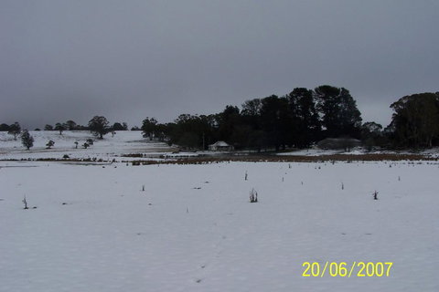 Brae Lossie - Accommodation Mount Tamborine 2