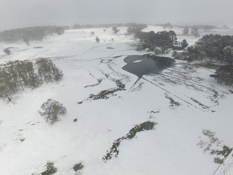 Brae Lossie - Accommodation Mount Tamborine 1