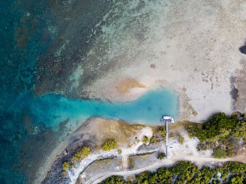 Camp Island Lodge - Accommodation Mount Tamborine 1