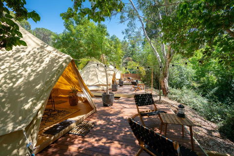 Castlemaine Gardens Luxury Glamping - Accommodation Mount Tamborine 0